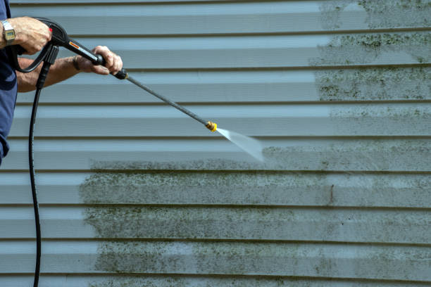 Best Roof Power Washing Services  in Bay St Louis, MS